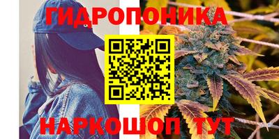 трава Кингисепп